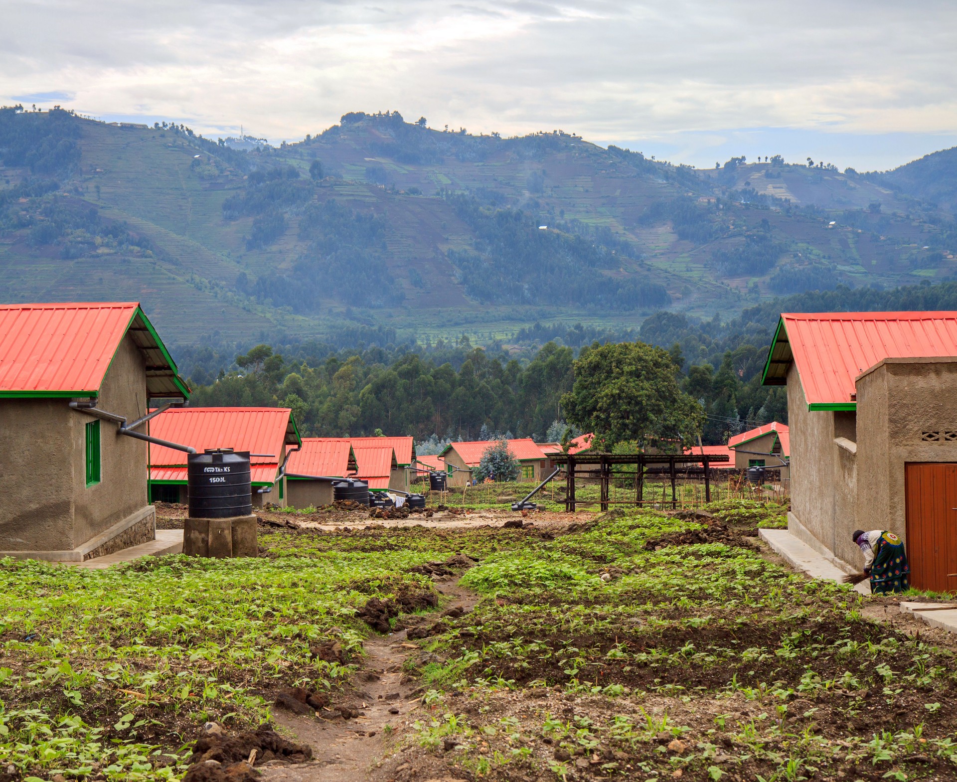 Model resettlement village in Northern Rwanda